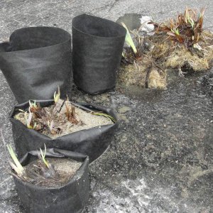 fabric pots