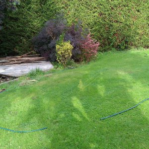 Pond Site with work commenced to repair decking2