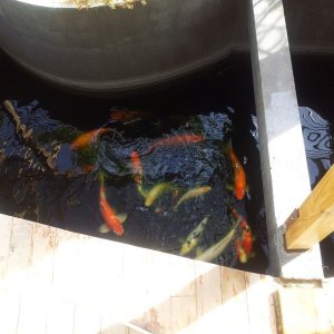 20120907 073256
