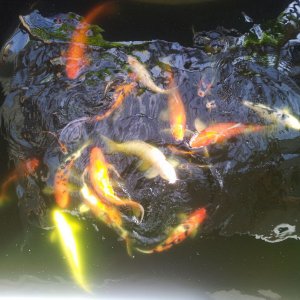 20120907 073531