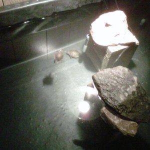 IMG 20120730 00013