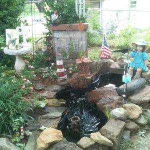 goldfish pond