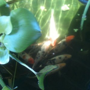 So Relaxing!!