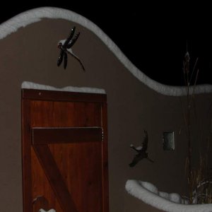 courtyardsnow