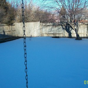 this is the spot where i want to put the pond