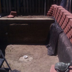 The Side