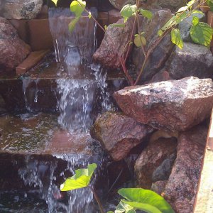 more plants