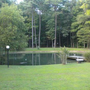 Pond 1