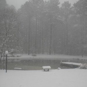 Pond 4