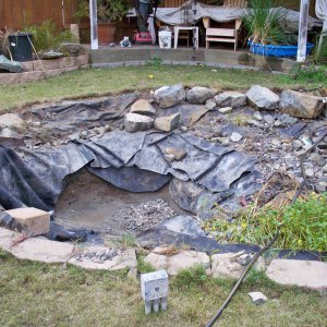 Liner Pond Removal