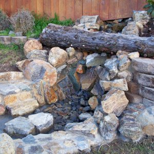 Planter Outside Pond