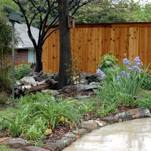 Cathy's Bigger Lily Bed