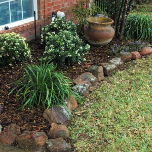 Front Yard Bed