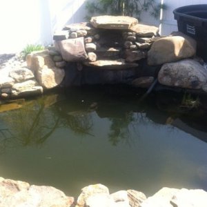 pond1