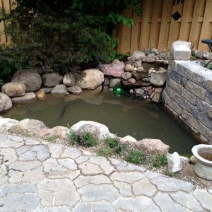 2013.6.16 Pond_3