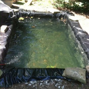 filledpond2