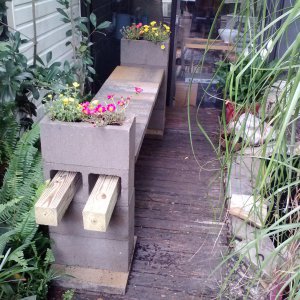 Pond Bench