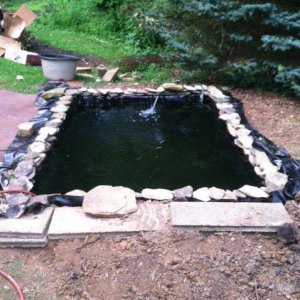 rockpond1