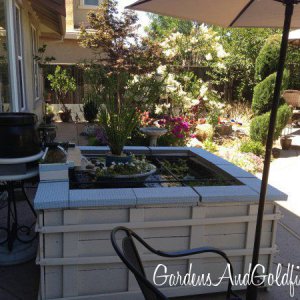 Patio Goldfish Pond