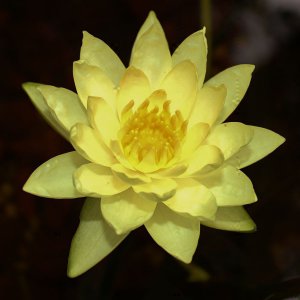 IMG 0901