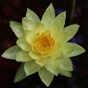 IMG 0898