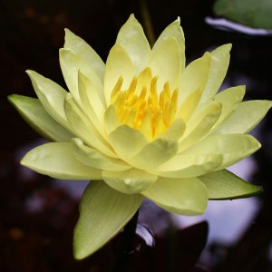 IMG 0897