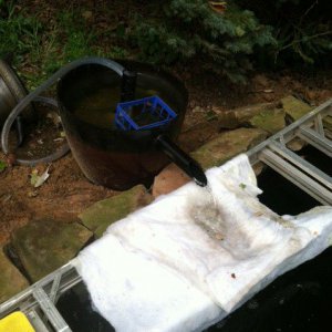 Skippy Filter with quilt batting for algae