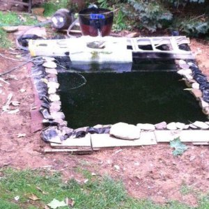 trying to clear the water