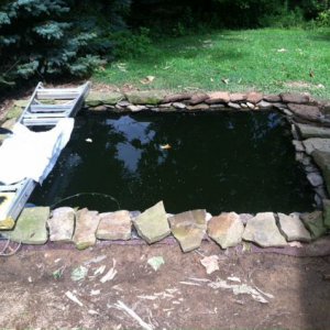 rock border in place