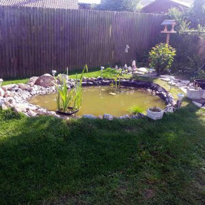 pond adjustment 10th july 2013 018