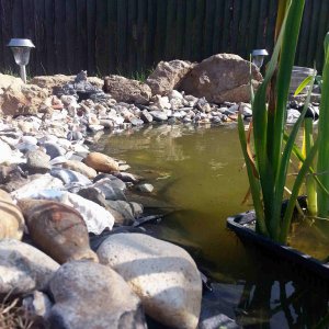 pond adjustment 10th july 2013 017