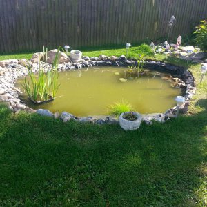 pond adjustment 10th july 2013 014