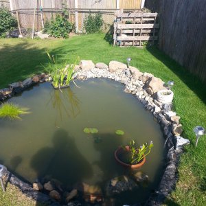 pond adjustment 10th july 2013 013