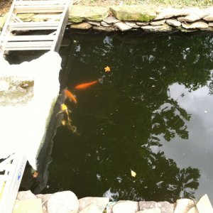 IMG 0734