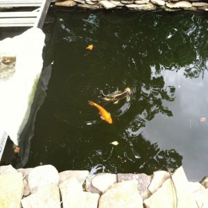 IMG 0735