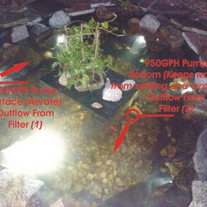 Pond Flow 1