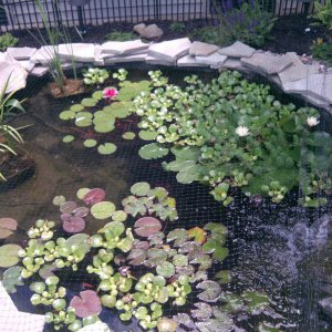 IMG 20130711 125601