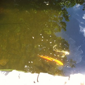 IMG 0744