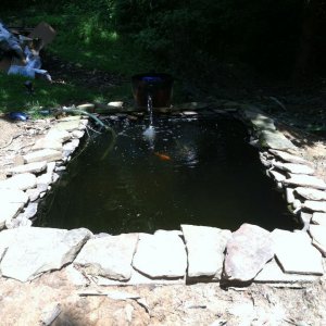 IMG 0747