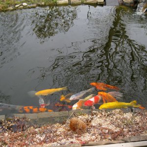 IMG 8545