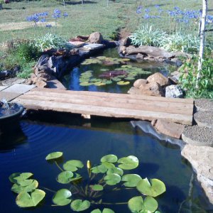 simple bridge