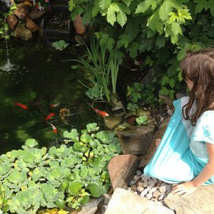 pond 004