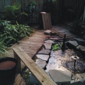 POND