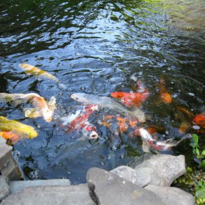 IMG 9516