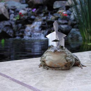 frogcrown