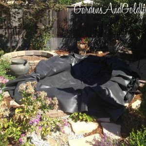 Main Pond Liner