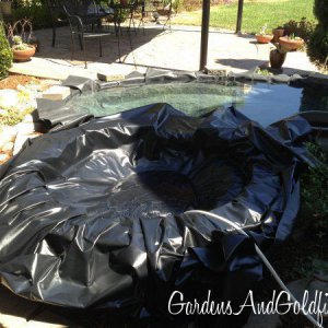 Bog Garden Liner