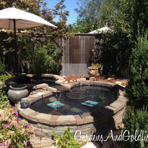 New Goldfish Pond