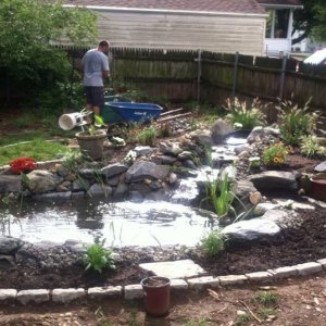 Making progress