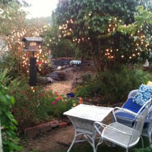 Joey's Pen beside pond